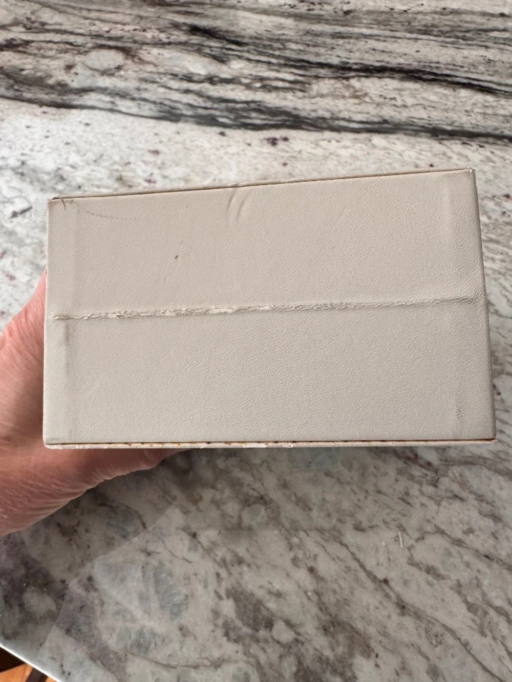 Container Store Travel Jewelry Case